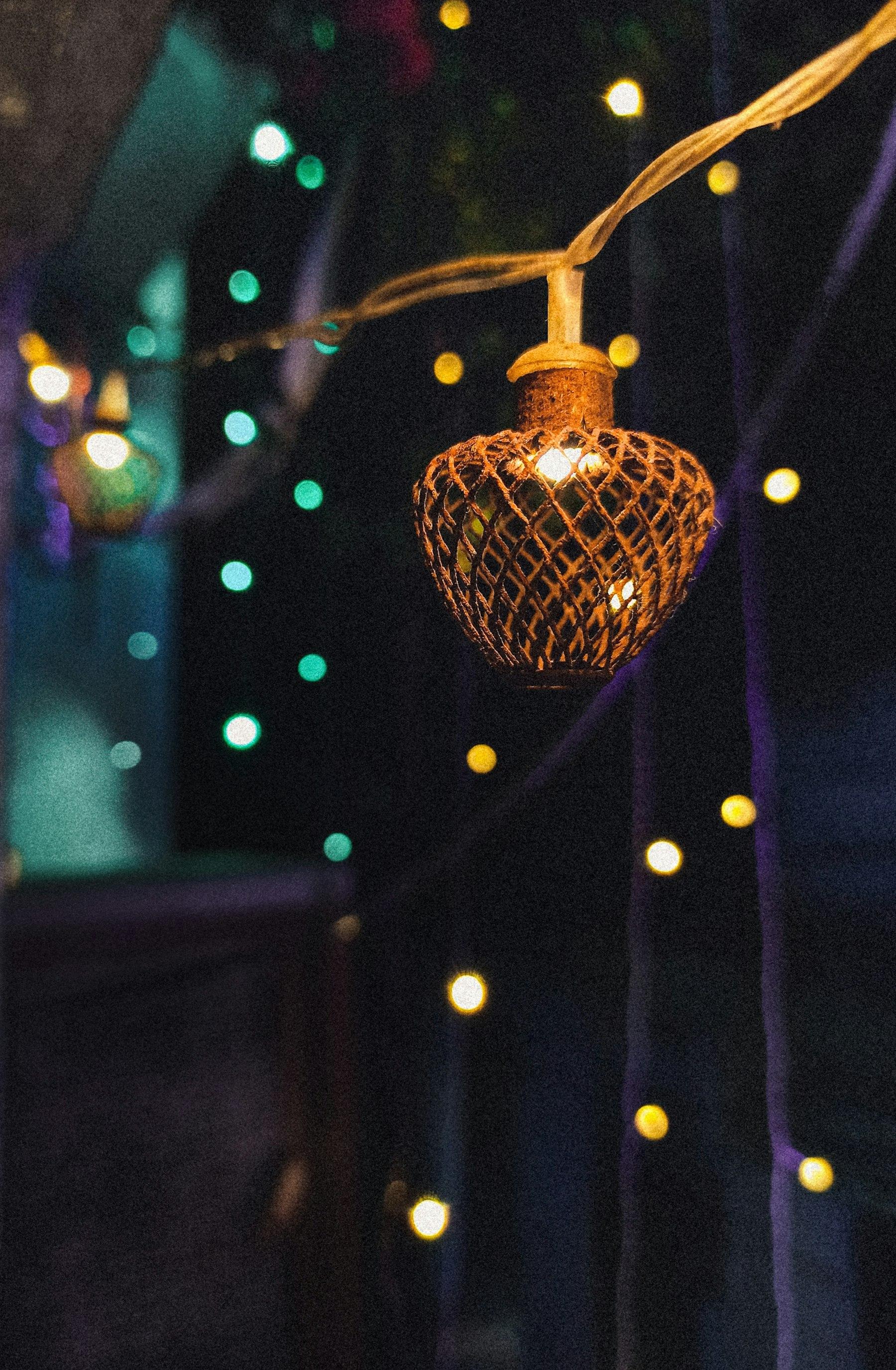 Festive Collection 2026